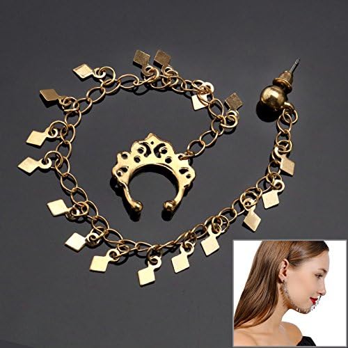 SFIC LTD Ear to Nose Tassel Link Nose Chain Boho on Trend Gold Tone Personality Earrings