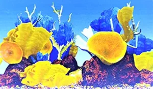 Aquarium Fish Tank Background Sticker 3D Double-Sided Adhesive Wallpaper Fish Tank Decorative Pictures Underwater Backdrop Image Decor (30cmx60cm)