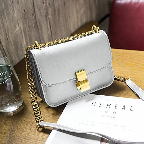 GUNAINDMX Bolsos de tofu bolsa de cadena mate femenina bolsa de gelatina helado bolsa de hombro Messenger,plata pequeña