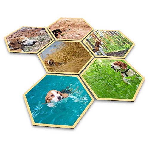 Personalisierte Siedler-Landschaften - bedruckt mit ihren Fotos (32 Sechsecke)