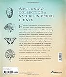 Image de The Art of Nature Adult Coloring Book: 60 Illustrations Inspired by Vintage Botanical and Scientific Prints