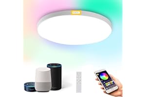 DOHOME Smart LED Ceiling Light 24W 1920lm RGB 2700K - 6500K Dimmable, WiFi Ceiling Light App/Voice Control Compatible with HomeKit/Alexa/Google Home for Living Room/Bedroom IP54 Waterproof No Hub Required