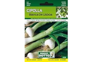 SEMENTI DOTTO Sementi da Orto - Cipolla Bianca di Lisbona - Sem. Dotto