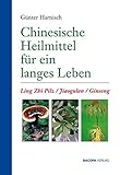Nahrungsergänzung Ginseng 