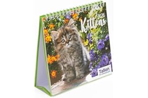 SHINEONE 2026 Desk Top Calendar Month to View Flip Over Home Office School Square Planner Size 17cm x 17cm (Kittens)