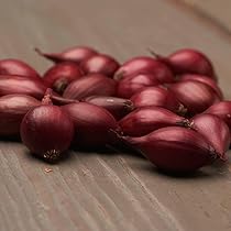 Oignons De Plantation Red Baron D'hiver - 500g, Bulbes 14-21mm, Doux Et épicé, Qualité Pays-Bas, Facile à Cultiver