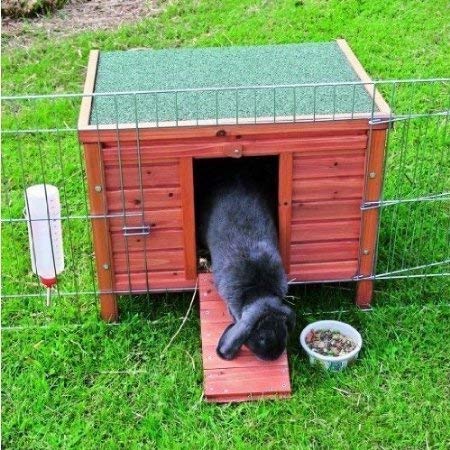 BUNNY BUSINESS Ocultar cámara/Run/Guinea Pig Conejo Hutch, Extra Grande, 60 × 47 × 50 cm