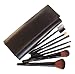 LyDia professional 7 pieces black face powder/foundation/concealer/eye shadow makeup brush set with black case