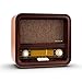 Price comparison product image auna Belle Epoque 1901 • Vintage radio • Retro design • FM/AM receiver • Backlit frequency band scale • MP3-compatible USB port • 1.5 Watt RMS power • wooden housing • Brown