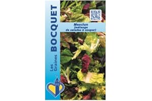 Sachet de graines de Mesclun - mélange de salades - 4 g - légume feuille - LES GRAINES BOCQUET
