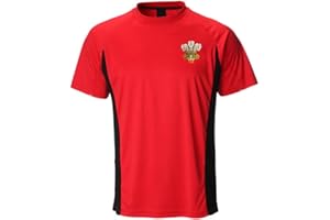 FASHION REVIEW Gimbles® New Men's Wales Cymru Rugby Ich Dein Welsh Feathers Cooldry Poly T Shirt Top