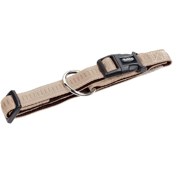 beige dog collar