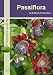 Produktbild Passiflora: 211 Passionsblumen aus aller Welt