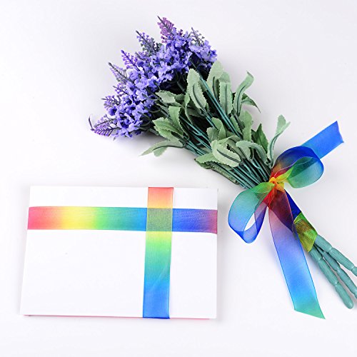 Shappy 50 Yard 1 Zoll Schimmer Sheer Organza Band, Regenbogen Farben - 4