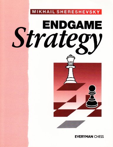 Endgame Strategy (English Edition) livre