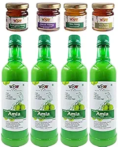 WOW ZIP - GO HERBS & NUTRITION -100% Pure Strong & Effective Amla Juice Finest Herbal Amla Juice . (750Ml 2+2 Free ( Pack of 4) and Raw Free Honey (55x4 g)