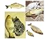 Produktbild Danapp Katzenminze Simulation Spielzeug Fisch Haustier Katze Spielzeug (B 20CM)
