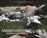 Metamorphosen - Körperlandschaften 2013 by 