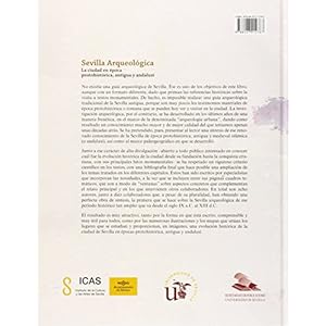 Sevilla arqueológica. La ciudad en época protohistórica, antigua y andalusí (Serie Historia y Geografía)