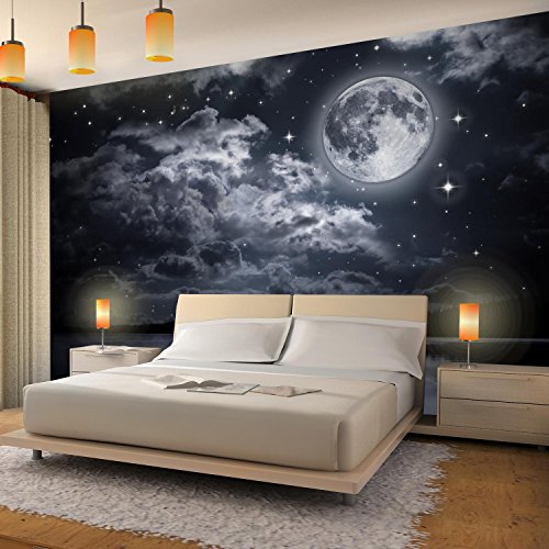 Fototapete Vollmond 308 x 220 cm – Vliestapete – Wandtapete – Vlies Phototapete – Wand – Wandbilder XXL – !!! 100% MADE IN GERMANY !!! Runa Tapete 9116010c - 3
