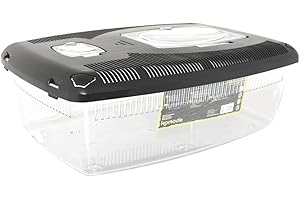 Komodo Terrarium en Plastique 48 x 31 x 18 cm