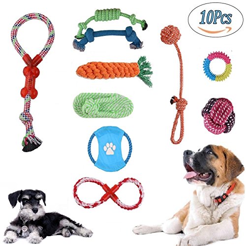 Juguetes para perros Juego de regalo de 10 Paquetes, Perros Para Masticar Juguetes Ayuda Dental Para Pequeñas y Medianas Mascotas Material es no Tóxico e Insípido Durable