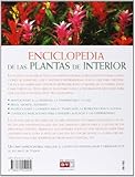 Image de Enciclopedia de las plantas de interior