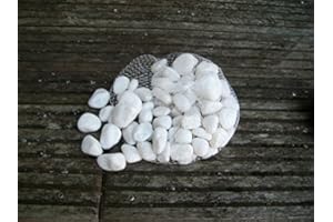 DEKO-IMPRESION 1 Kilo Flusssteine, Dekosteine, Zierkies, Flusskiesel, Weiss, 2-4 cm