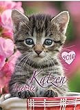 Bild-Kalender Liebste Katzen 2016 Tierkalender by 