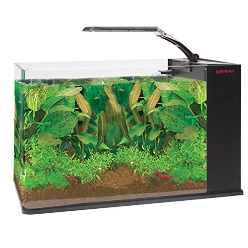 Preisvergleich Produktbild Wave Aqua Orion 25