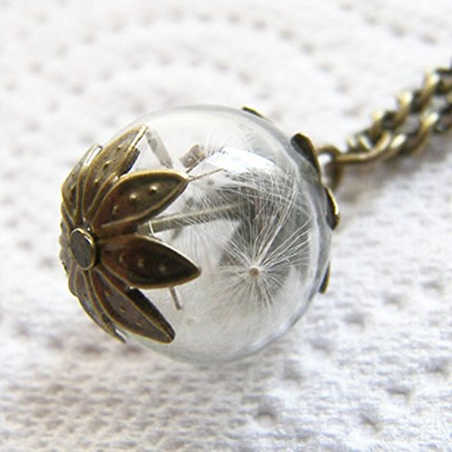 ROSENICE Mini Leeren Glasflaschen mit Löchern für DIY-Handwerk - 3