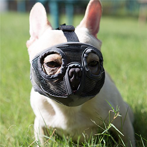 JYHY Court museau Chien Muzzle- Réglable Respirant en Maille Muselière Bulldog pour Piqûres d'Chewing aboiements Chien Masque,Gris(Les Yeux) M