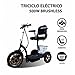 Produktbild Elektrisches Dreirad | IDEAL FÜR DEAKTIVIERTE PERSONEN MIT REDUZIERTER MOBILITÄT | SOFORTIGE LIEFERUNG | ELEKTRISCHER ROLLER 3 RÄDER