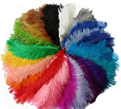 10 Ostrich Feathers 25-30cms/10-12 inch (Mixed)