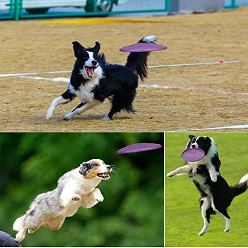 MixMart-Nontoxic-Rubber-Flying-Disc-Frisbee-for-Dogs87in-with-Vanilla-Scent