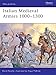 Produktbild Italian Medieval Armies 1000-1300 (Men-at-Arms, Band 376)