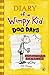 Diary of a Wimpy Kid: Dog Days RS.177.00