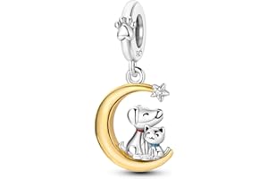 Hapour 925 Charms in Argento Sterling per Bracciali Charm Collana Gioielli Europei Ciondolo Perline Fascino Regalo di Compleanno per Donne Ragazze Mamma Figlia