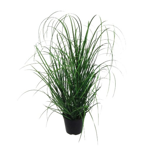 Kunstpflanze Gras, Dekogras. GRASBUSCH IM TOPF. Ca 75 cm. OHNE Übertopf.