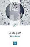 Image de Le Big Data: « Que sais-je ? » n° 4027