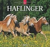 Haflinger 2013 - Original Stürtz-Kalender by