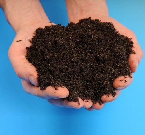 Wurmkompost TERRAGOLD 5l von natursache.de – Premiumqualität aus Pferdäpfel – TORFFREI – UNIVERSALDÜNGER für alle Pflanzen – WURMKOMPOST für den Garten und Zuhause – HERGESTELLT IN BRANDENBURG/HAVEL - 2