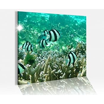 Bilder, Poster, Kunstdrucke & Skulpturen Acrylglas Größe1:100cmx40cm