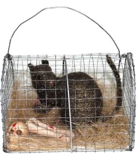 Preisvergleich Produktbild Ratte im Käfig