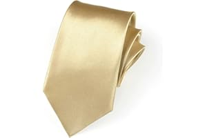 HQRKOTM 1 pezzi cravatte uomo eleganti,cravatta oro uomo-8cm,per abbigliamento casual e formale, riunioni di lavoro, matrimoni
