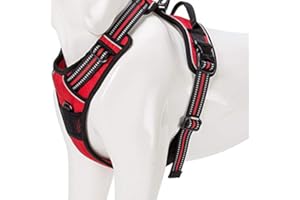 WINHYEPET True Love Dog Harness, No-Pull Reflective Pet Harness with 2 Leash Clips Adjustable Soft Padded Dog Vest with Easy Control Handle for Small Medium Large Dog TLH5651(Red,L)