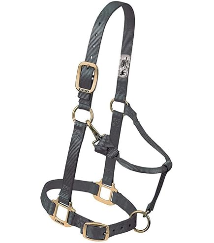 Collier Anti-tic (cribbing Collar) Weaver Leather Medium – Marron Doré Pour Cheval