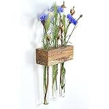 Fenstervase Buche gestockt 3er Blumenvase