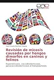 Image de Revisión de micosis causadas por hongos dimorfos en caninos y felinos: Esporotricosis, coccidioidomicosis, paracoccidioidomicosis e histoplasmosis