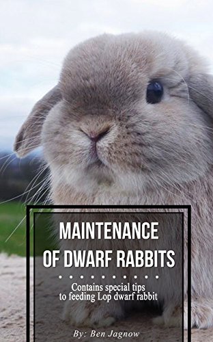 Maintenance Of Dwarf Rabbits Ebook Ben Jagnow Amazon In Kindle